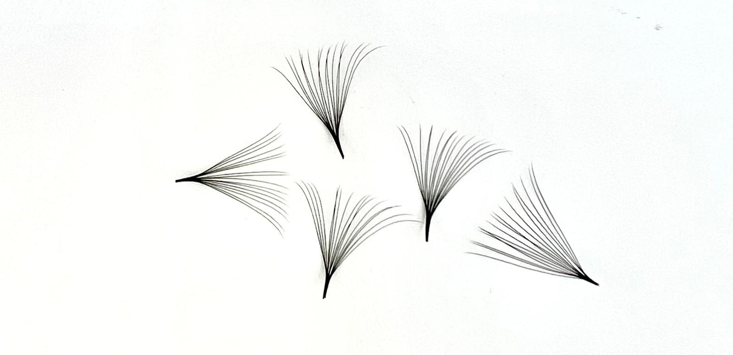 Phat Lash Promade lashes 16D 0.05 12mm